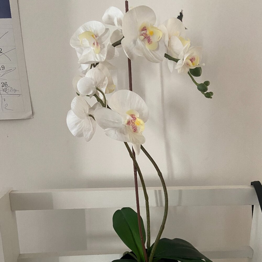 Orchid White indoor plant Faux artificial flower in Planter